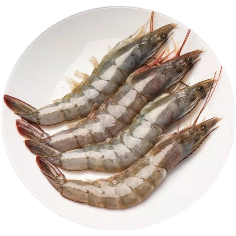 新鲜野生对虾鲜活基围虾海大虾活虾青虾明虾活虾