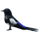 Simulation magpie feather ornaments handicrafts gardening props fake birds non-living home accessories decoration selling living room Simulation magpie feather ornaments handicrafts gardening props fake birds non-living home accessories decoration selling living room