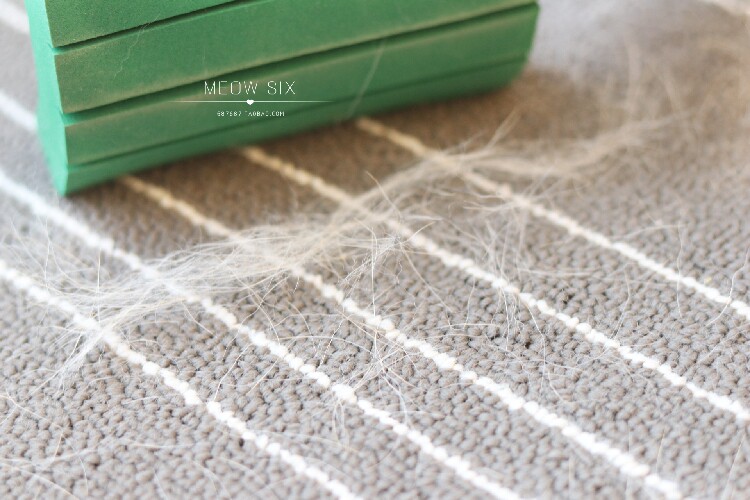 猫狗毛清洁海绵刷清理地毯床沙发宠物毛发易清洗猫猫清理器除毛