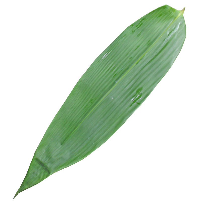 新鲜粽子竹叶大号精选叶子现摘包粽子天然新叶其他食品