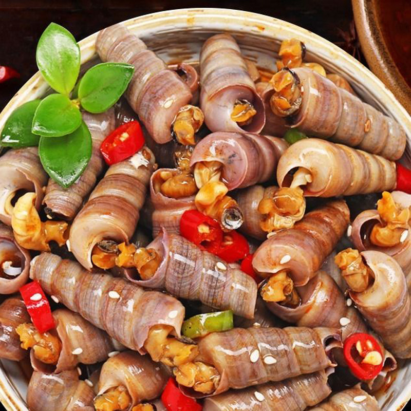 钉螺鲜活新鲜螺丝大钉螺去尾包邮海麻辣海鲜水产海螺