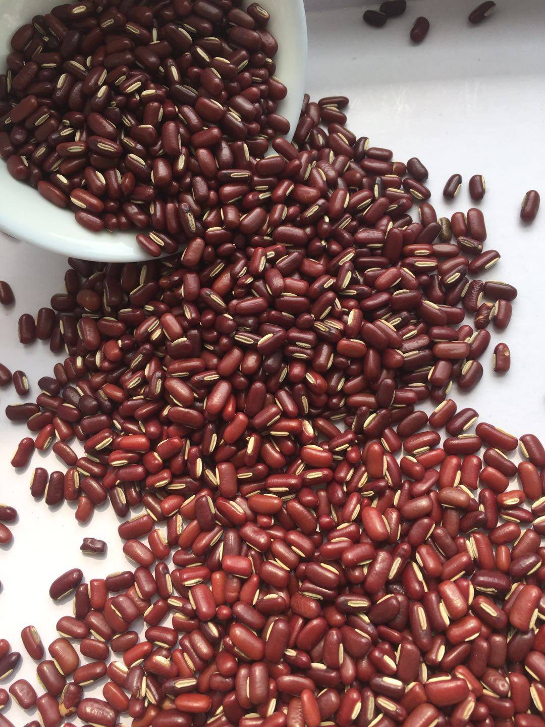 满打折非圆粒老许家打折赤豆小豆满包邮自产农家红豆红豆