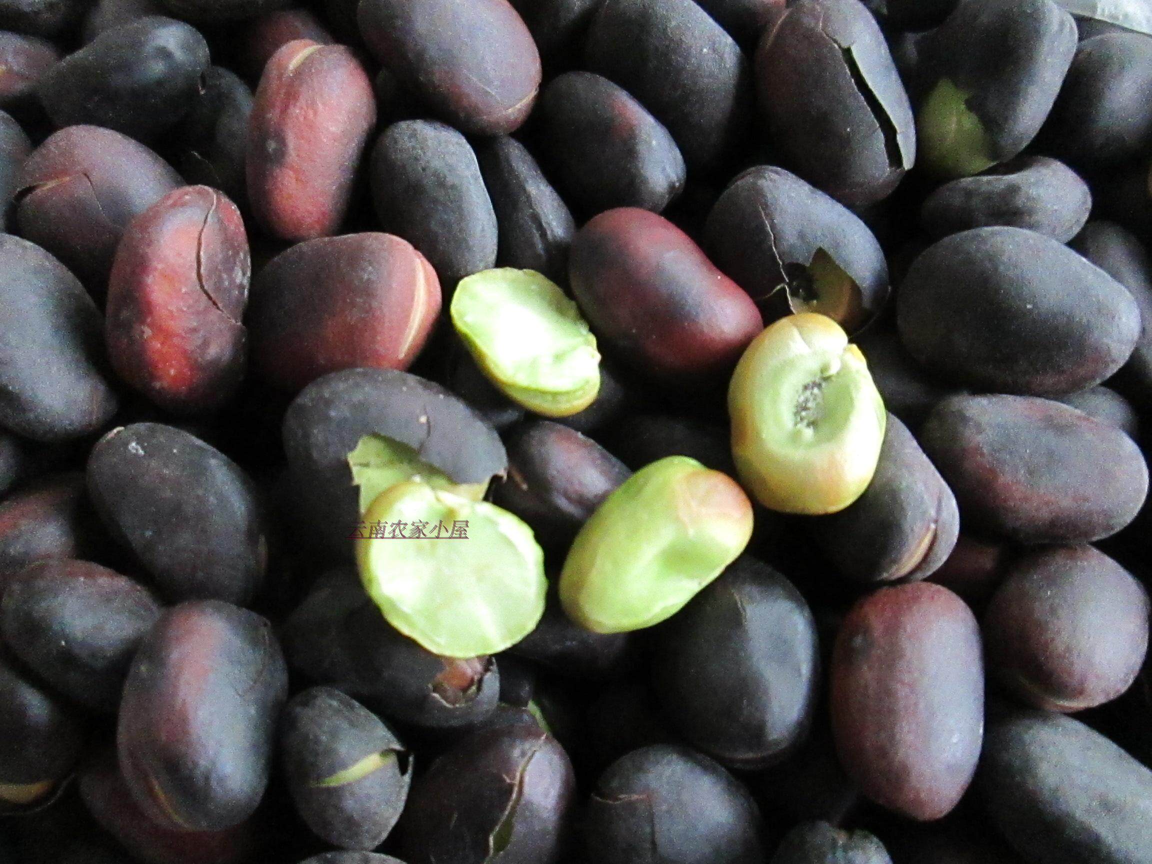 云南保山特产零食绿蚕豆2019年新豆农家炒货不开口黑皮绿豆炭烧豆