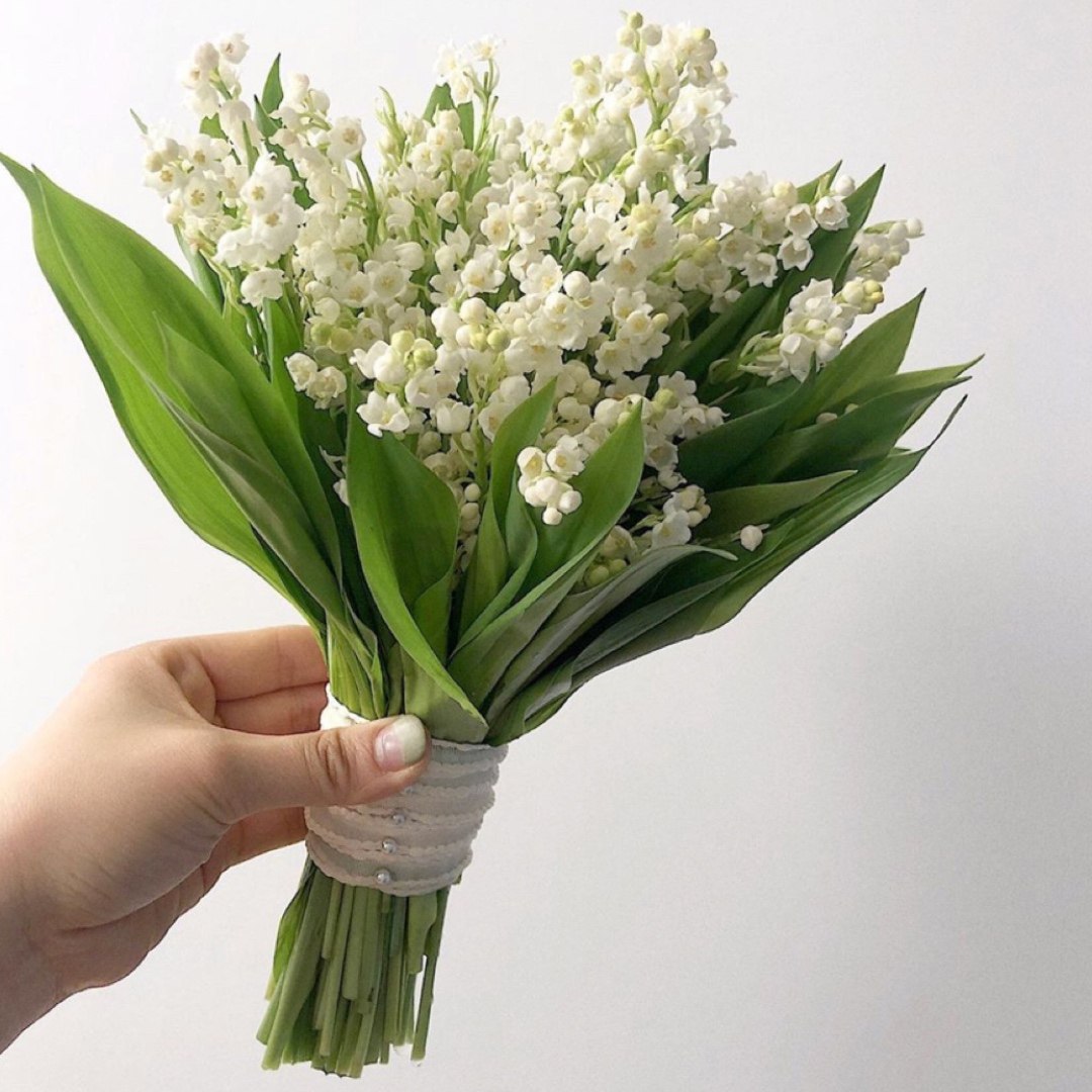 铃兰花手捧花鲜花 荷兰进口铃兰鲜花 宋慧乔同款捧花高端稀有鲜花
