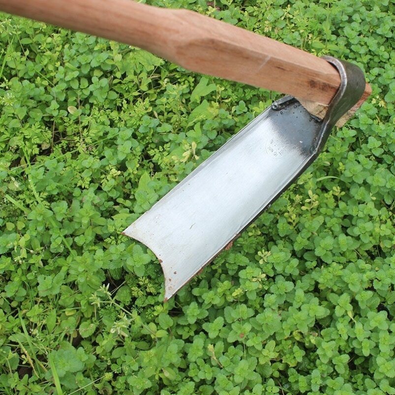 户外全钢两用锄头除草种菜开荒农用老式挖土耙子松土神器园艺工具