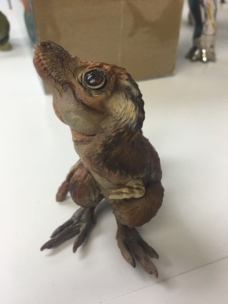 包邮pnso恐龙大王成长陪伴模型幼年霸王龙亚伦暴龙幼崽宝宝baby