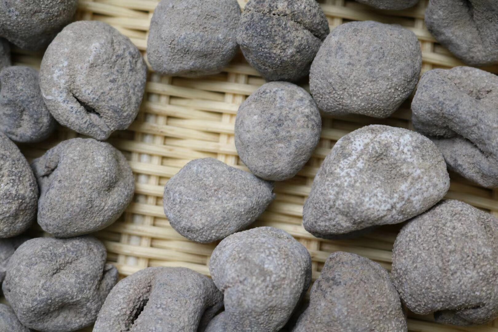 正品深海野生海参越南球参50头干品