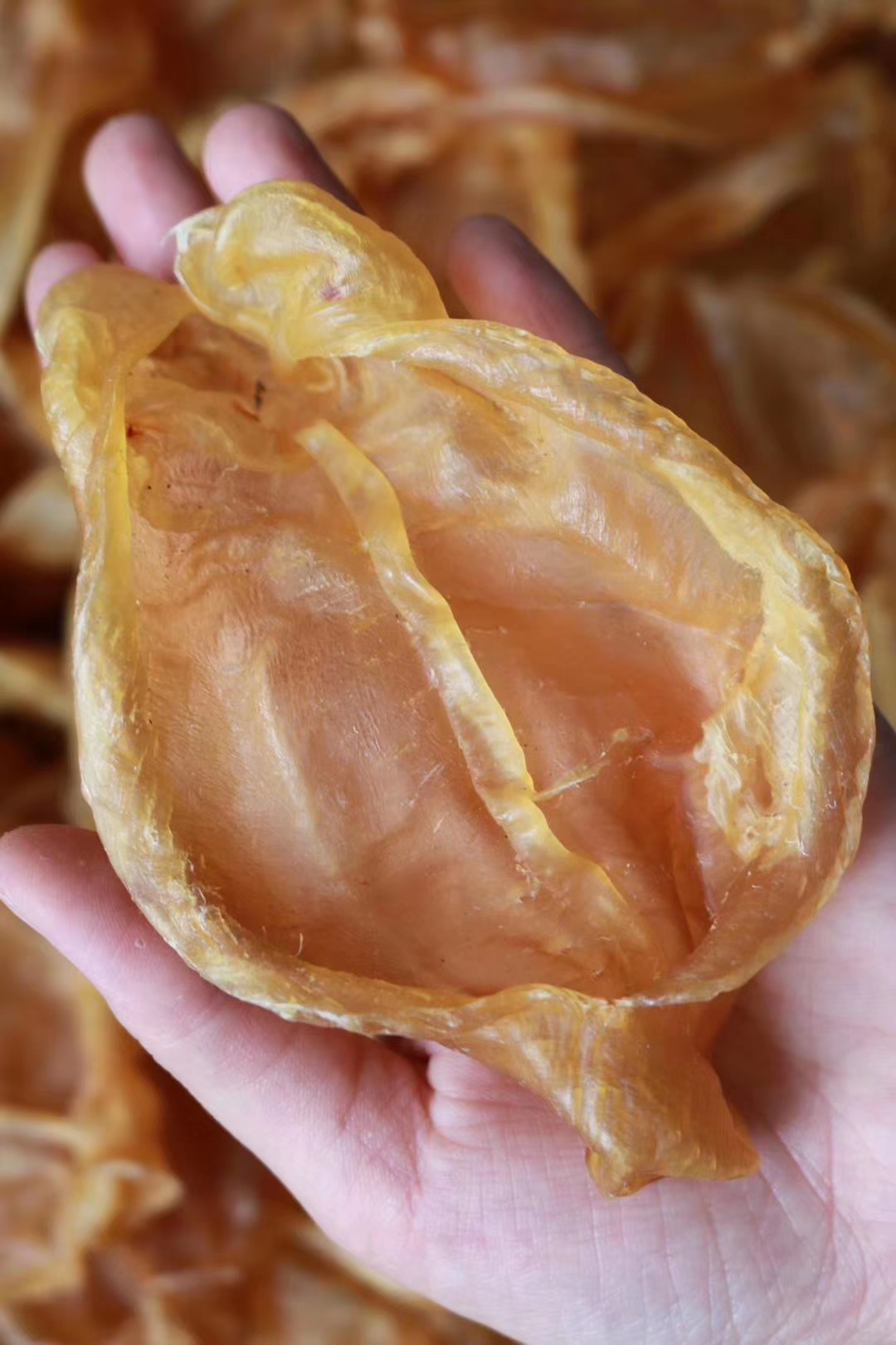 22头左右精选开边黄花鱼胶陈年老年老250克装花胶