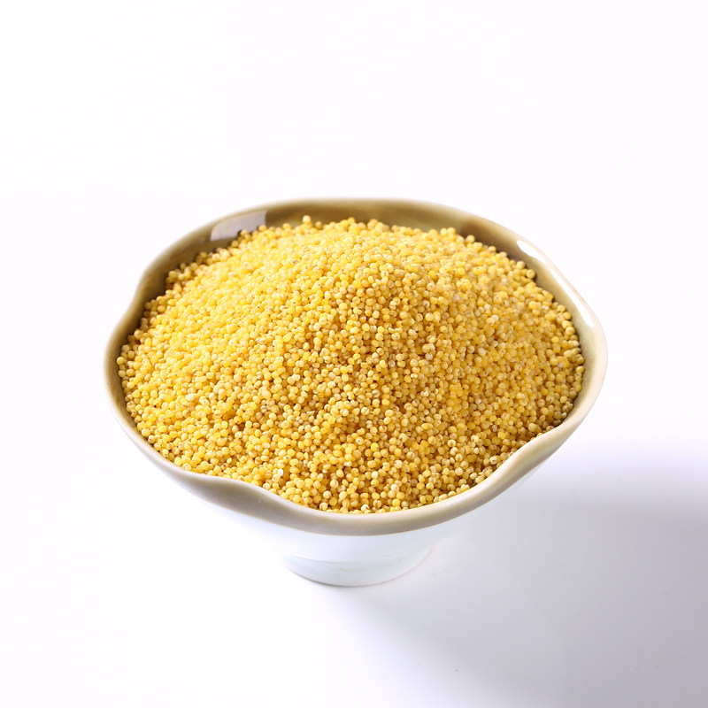 黄小米特级农家食用小黄米黄金有机宝宝煮粥粘糯新米孕妇正品5斤 - 在