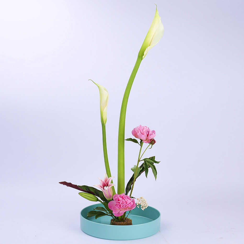 插花特价塑料盘小原流教学专用花器日式花花花盆