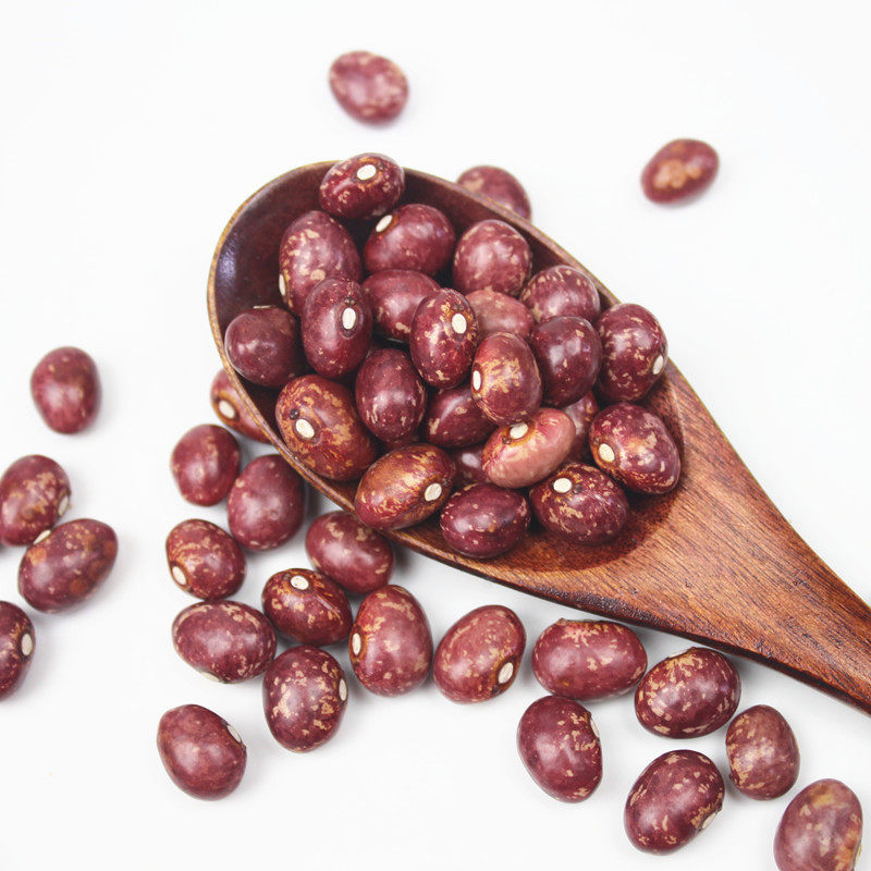 云南金丝2500g农家自种红花孔雀芙蓉豆雀蛋豆其它