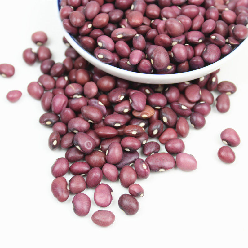 红扁小芸豆5斤新货农家自产红豆非赤小豆红小豆红豆