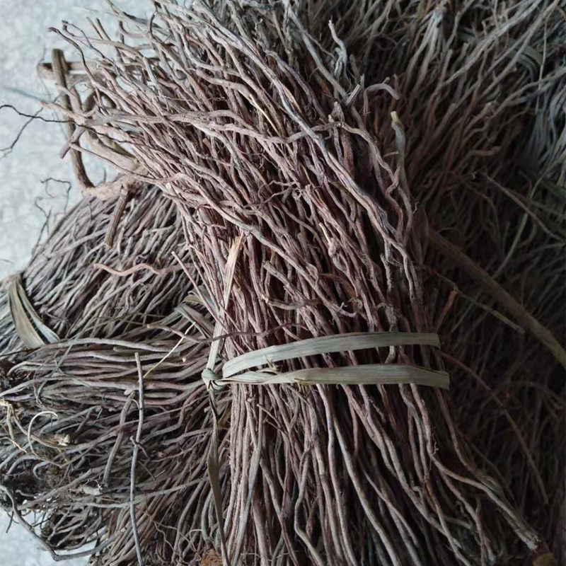 威灵陕西秦岭野生新鲜干货山辣椒秧根仙根500g威灵仙