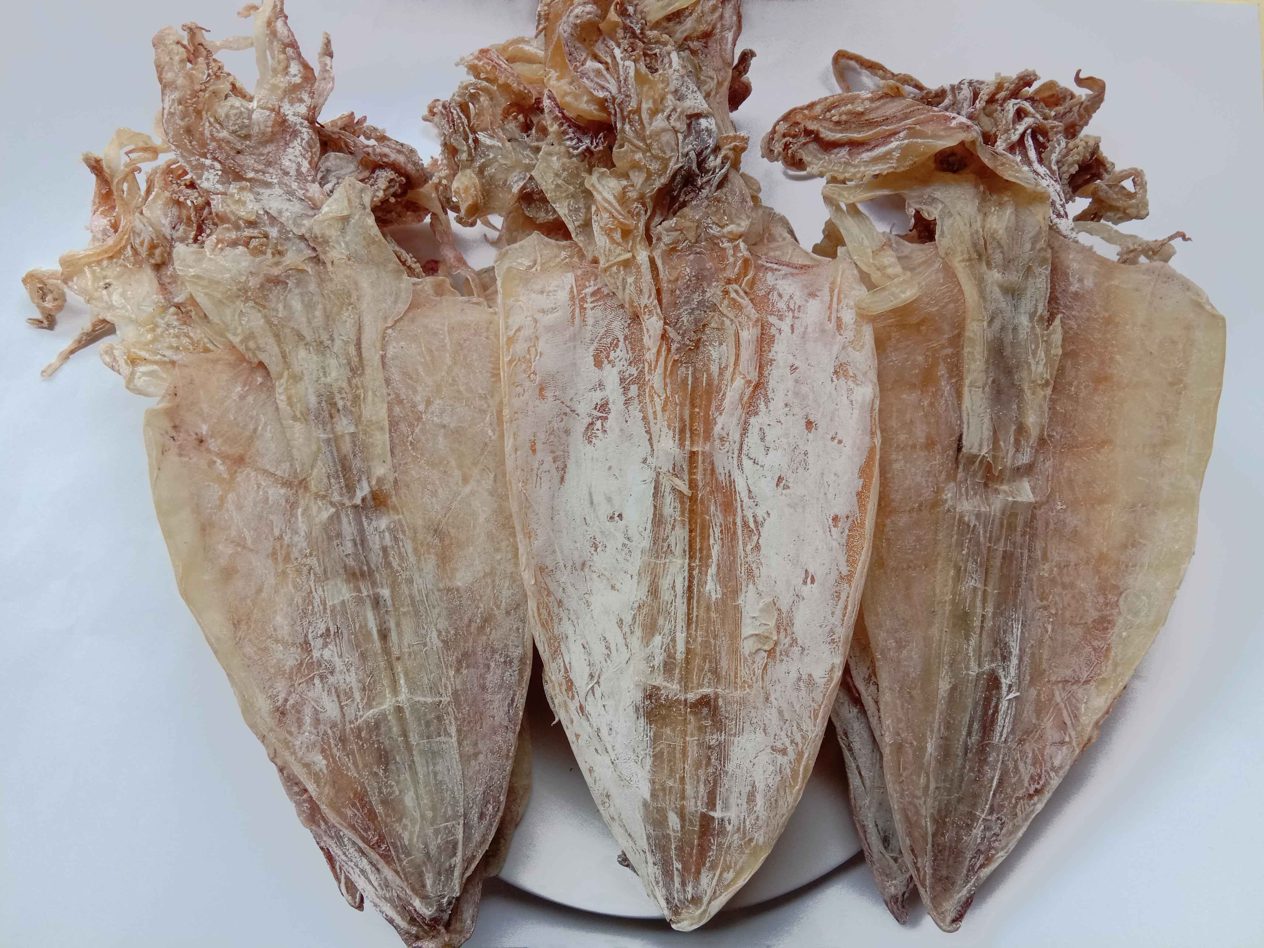 鱿鱼北海特产烧烤a1500g天然北部湾鱿鱼干