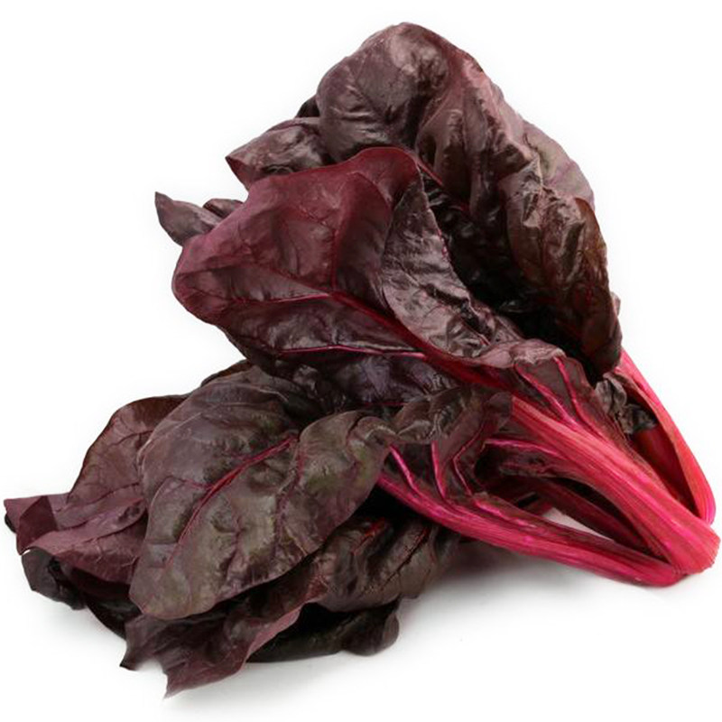 叶用红菜类蔬菜盆菜阳台四季春秋小菜菜叶黄甜菜家庭园艺种子