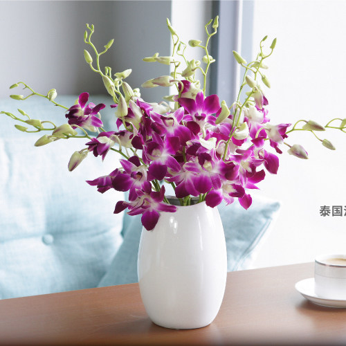 泰国国洋10枝绿色进口洋兰白粉紫洋兰花鲜花鲜花速递同城