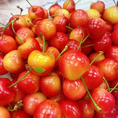 现货智利黄车厘水果雷尼尔尼尔金车厘44斤顺丰车厘子