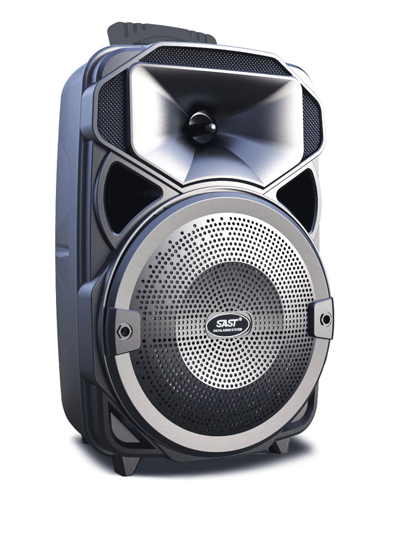 先科st1203b手提版8寸广场舞音响音箱户外大功率8寸便携式移动蓝牙重