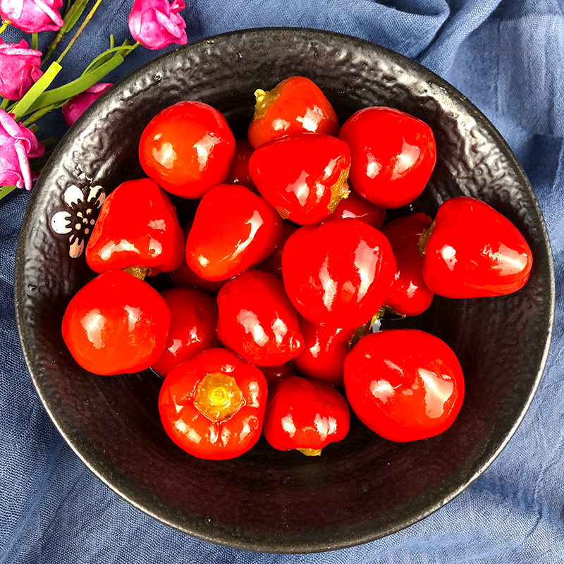 灯笼圆泡10斤圆椒珠子椒泡椒酸辣椒袋装重庆腌制