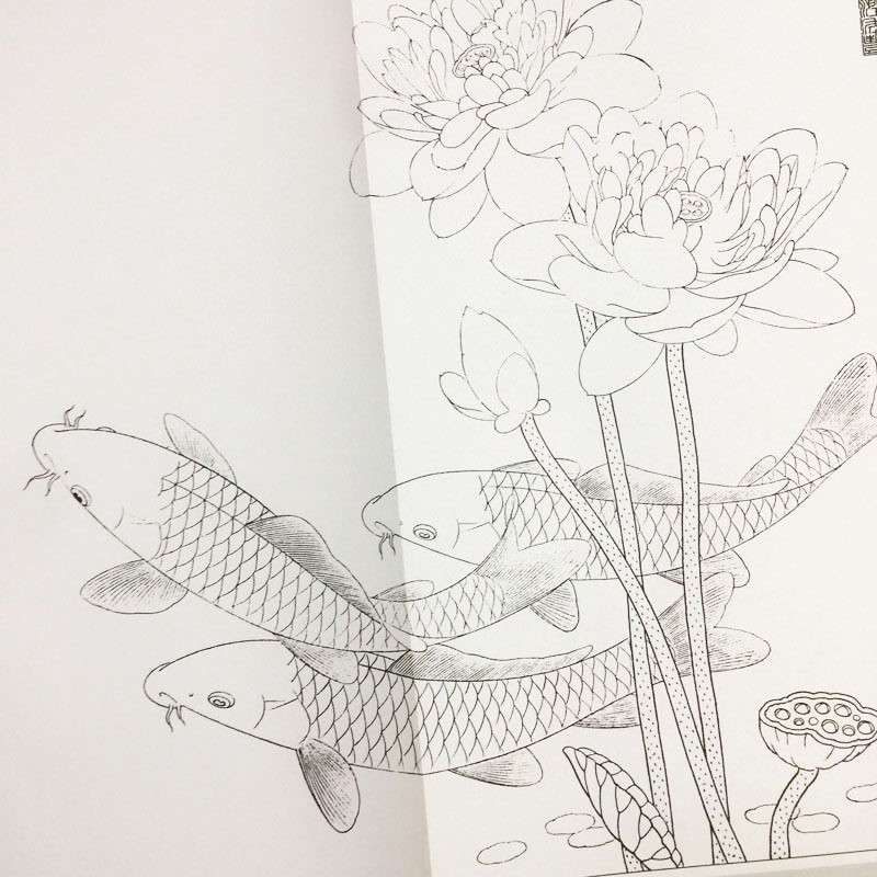 工笔画鲤鱼国画带上上色步骤白描底稿初学者宣纸宣纸