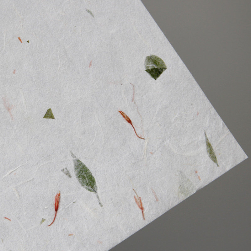 信纸二代植物宣纸花瓣信笺古韵手工古风书法信纸