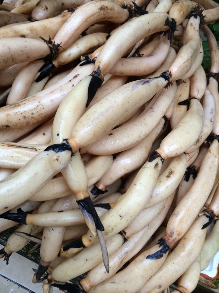 当天翁源野生新鲜小莲莲藕细连蛇莲南浦塘莲莲藕