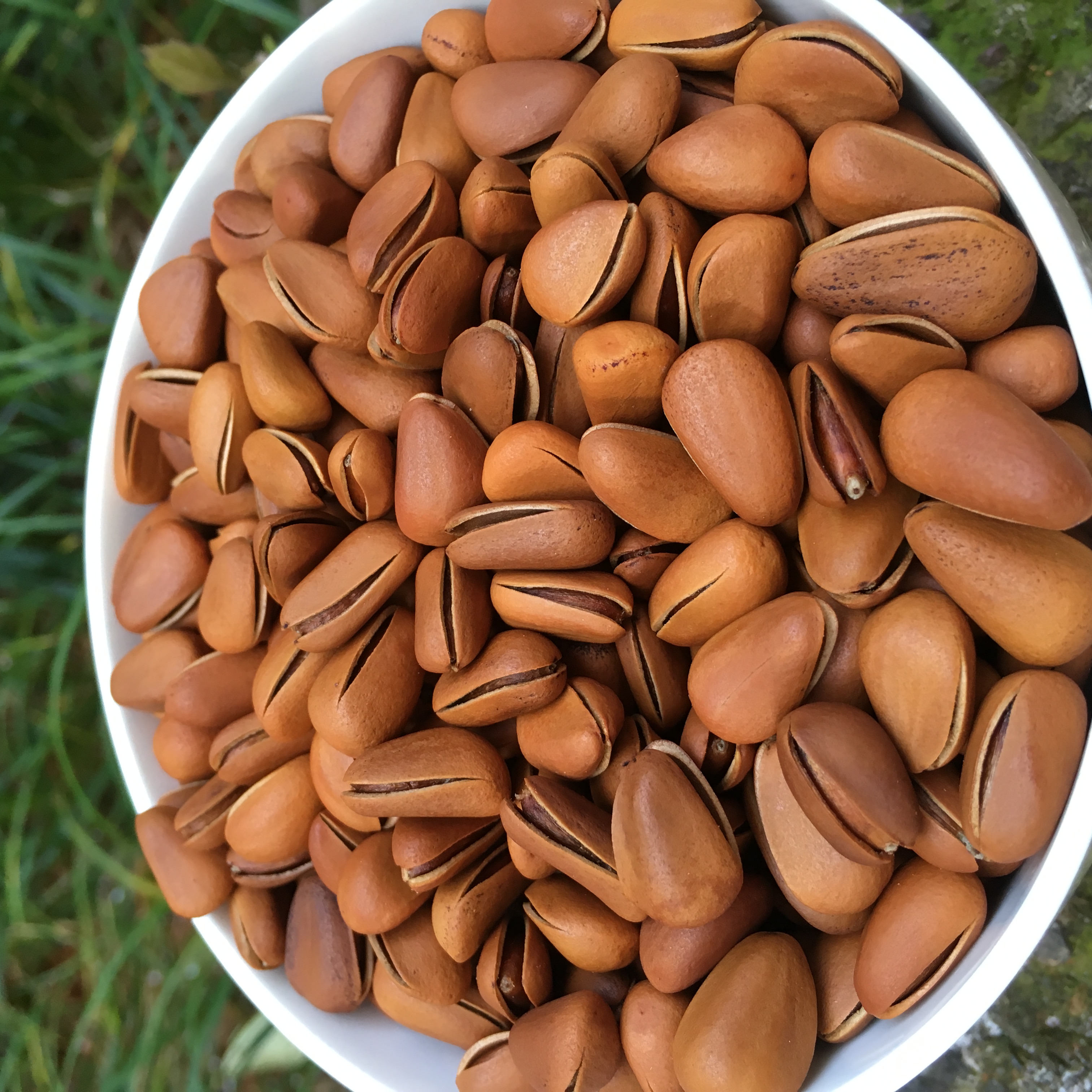 2020新货开口松子500g特级野生生手散装颗粒松子