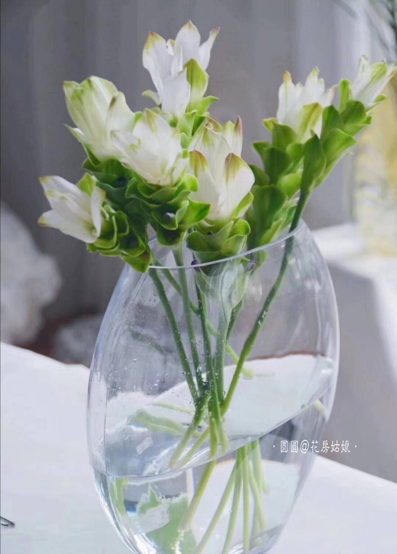 姜花淡淡短切花期花材夏季小清新香味鲜花荷花鲜花速递同城