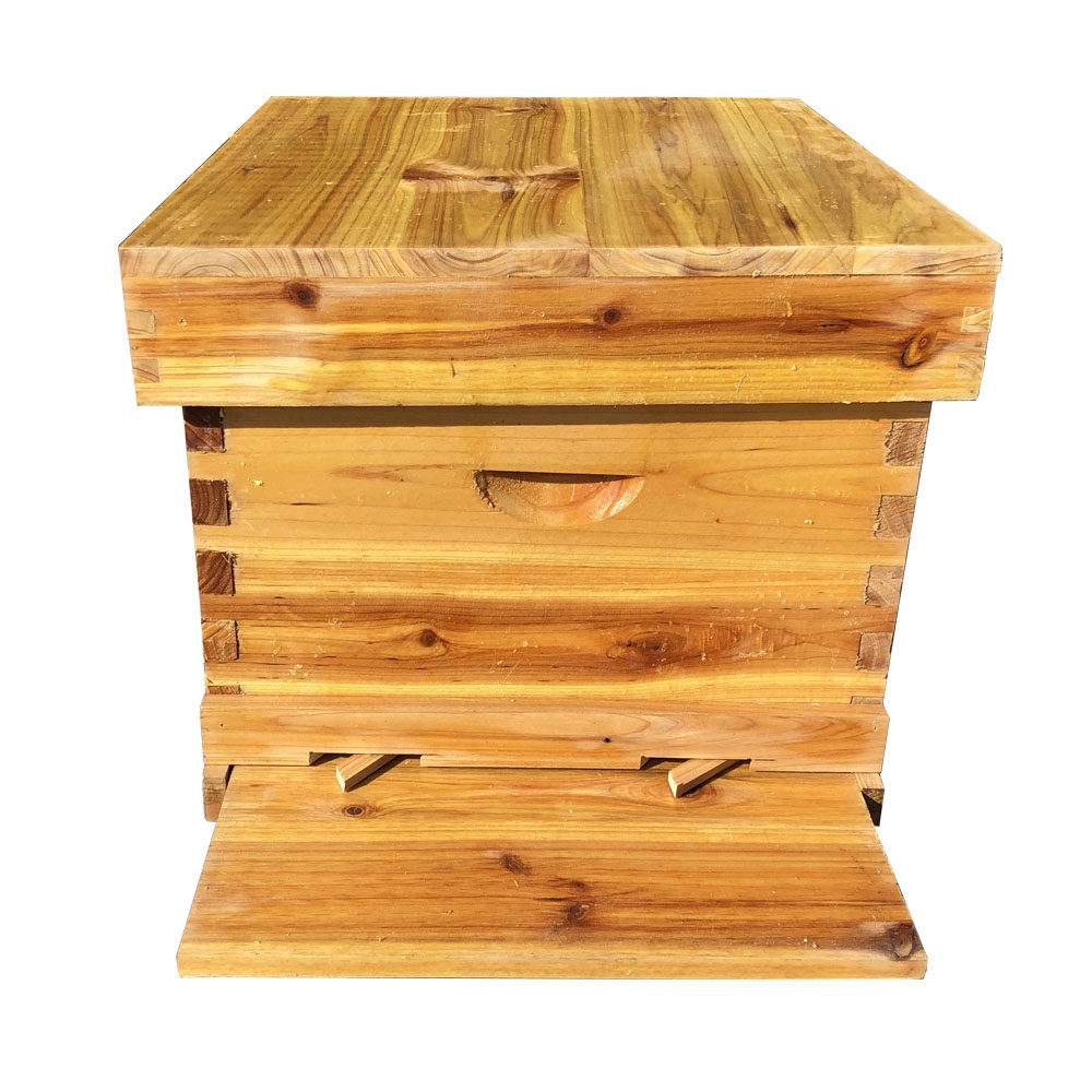 新手养蜂工具全套中蜂蜂箱蜜蜂箱煮蜡标准杉木诱蜂箱带框巢础包邮