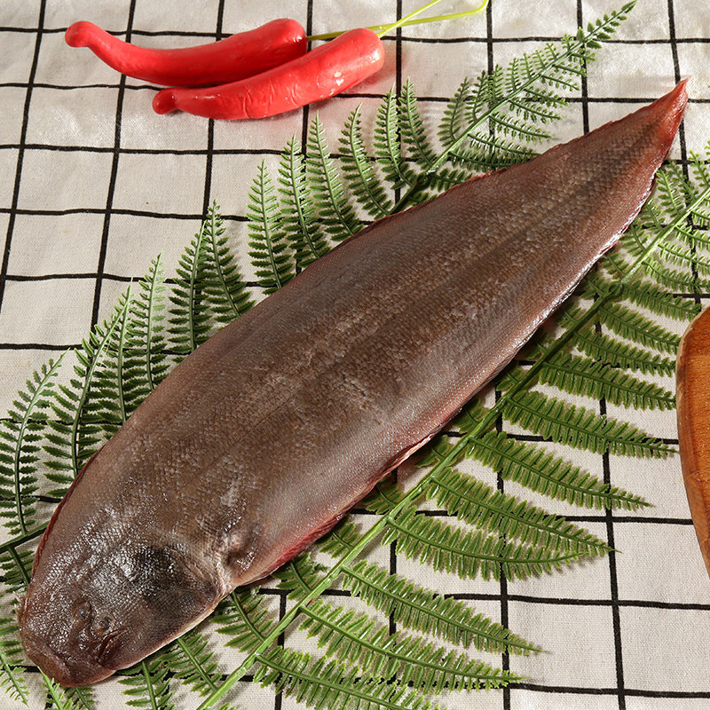 渔民海鲜踏板龙舌龙利大龙细鳞本港水产福建其它