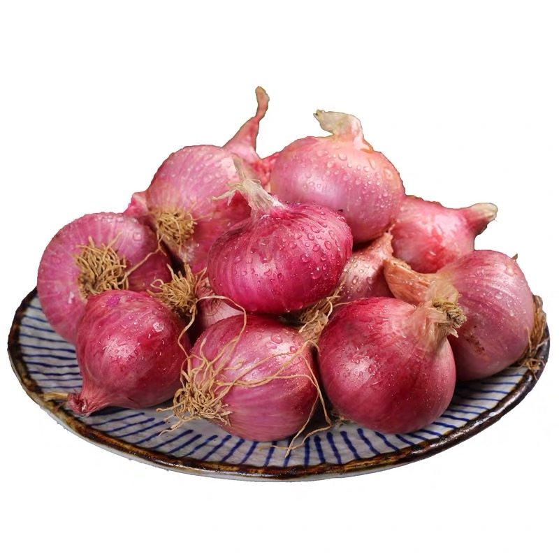 迷你珍珠西餐5斤蔬菜洋葱黄洋葱红葱头缅甸小洋葱葱类