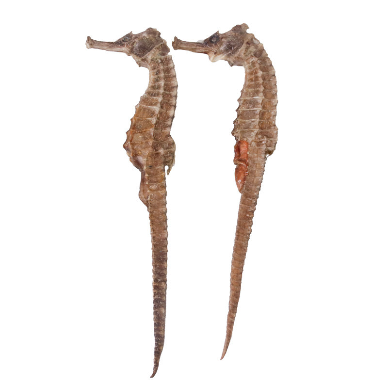 克氏大海马干雌雄一对15克纯净无杂质泡酒炖汤滋补养生佳品送海龙