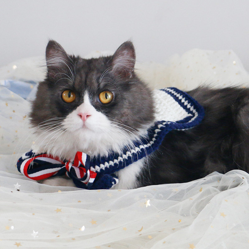 猫咪围脖狗狗围巾手工编织宠物可爱脖子饰品围巾