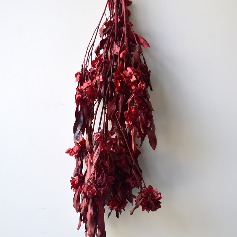 永生花树枝花艺艺空间造型设计花束干花花材迎客插花干花