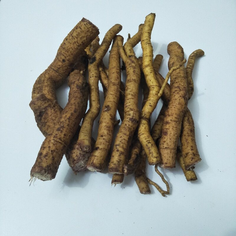 芙蓉现挖新鲜500g包邮木芙蓉花中草药华木拒霜花木其他药食同源食品