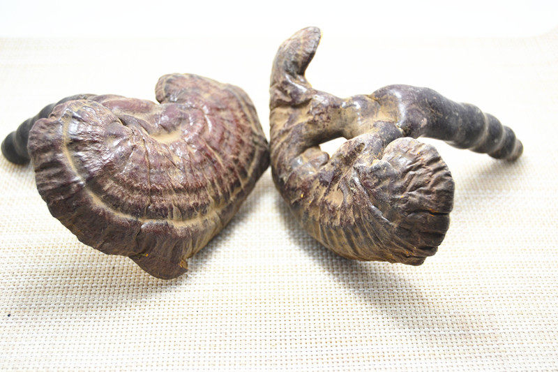 灵芝干货西藏白心整朵正品片磨250g190整枝灵芝