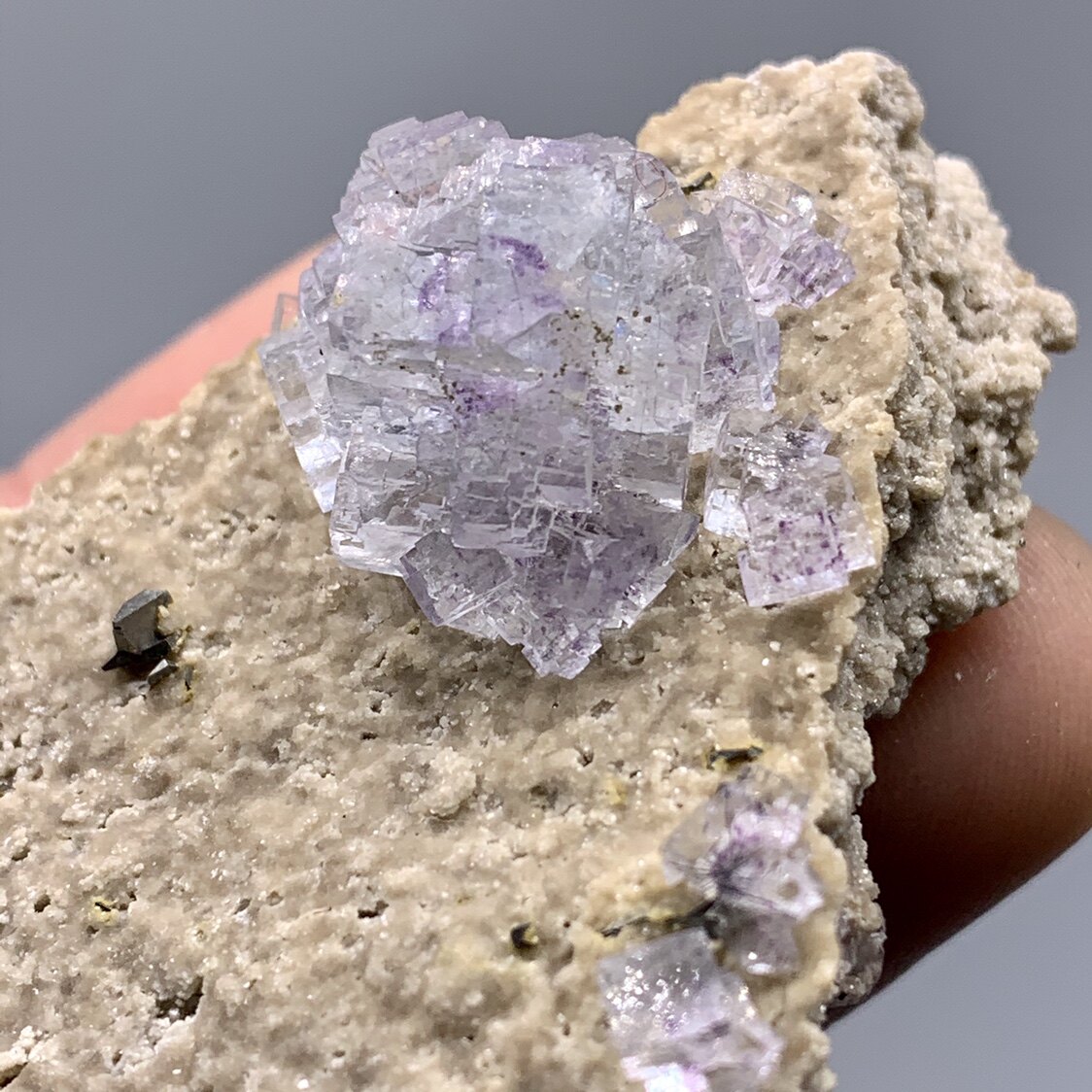 瑶岗仙紫萤石毒砂共生天然矿物晶体教学标本摆件