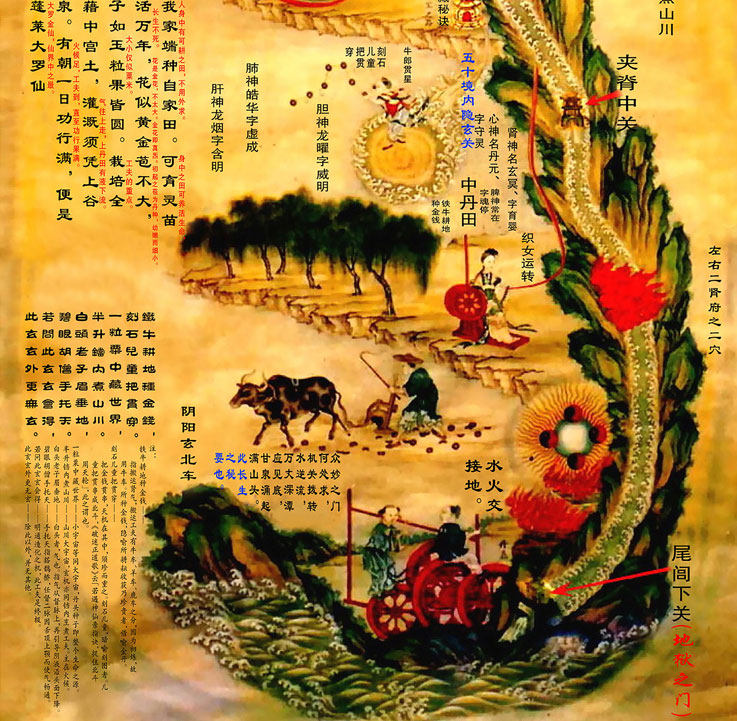 养生内经卷轴挂画内景图中中医道家黄帝内经装饰画国画