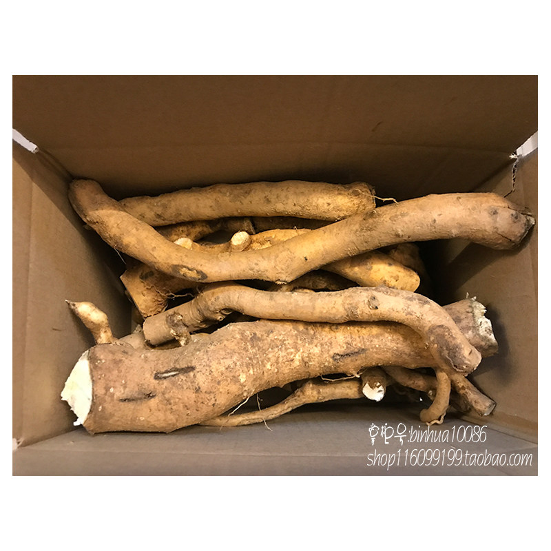 新鲜岗梅根 野生秤星树根秤假甘草假青梅秤花柴白皮纯根500g包邮