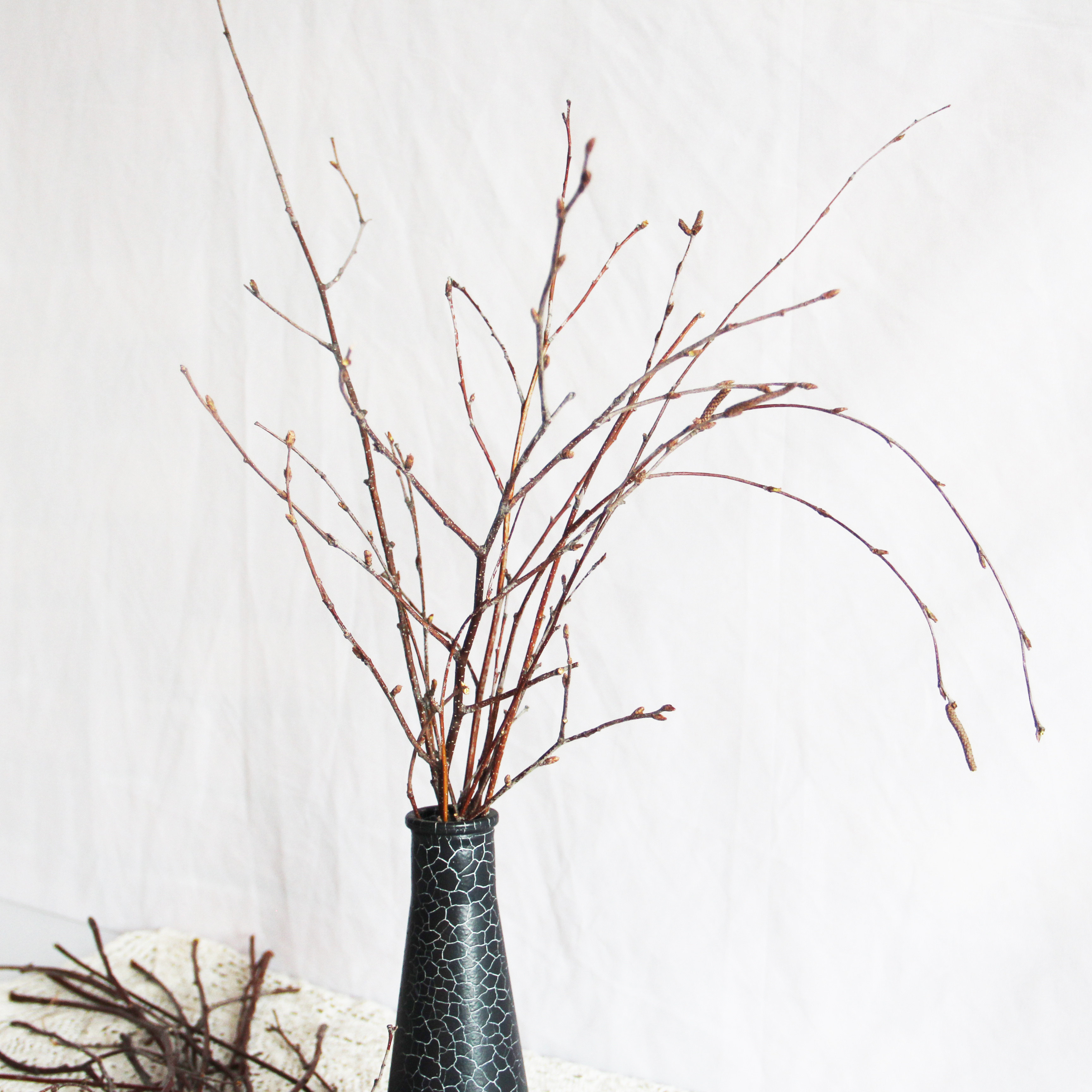 树枝白桦装饰复古干枯插花原木田园客厅树杈干花