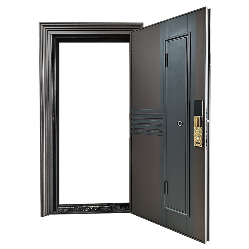 百祥新款单层门中门家用入户电解镀锌锌板烤漆进户门