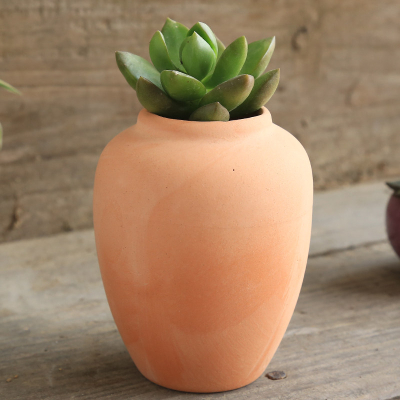 花盆多肉盆花古代器形装饰陶罐小花陶瓷造型花盆