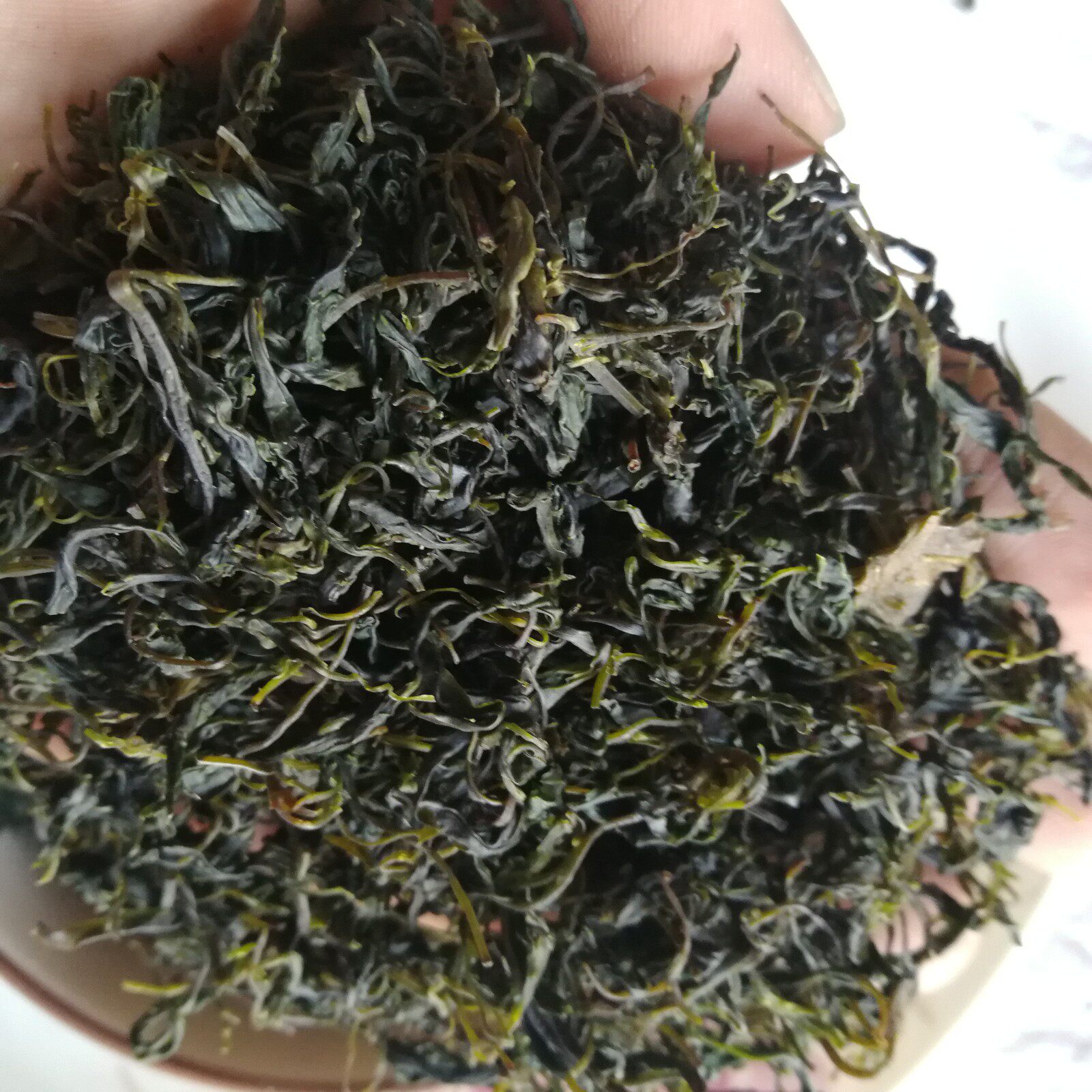 纯天然青山绿水养生茶叶云南野生生毛冬青嫩芽小叶养生茶