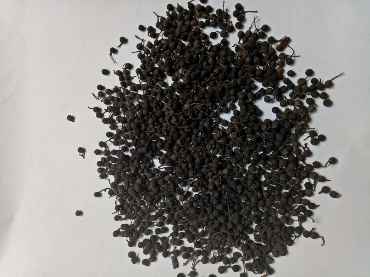 野生女贞客家手工挑选干货冬青籽鸡腰籽腊树泡澡药包