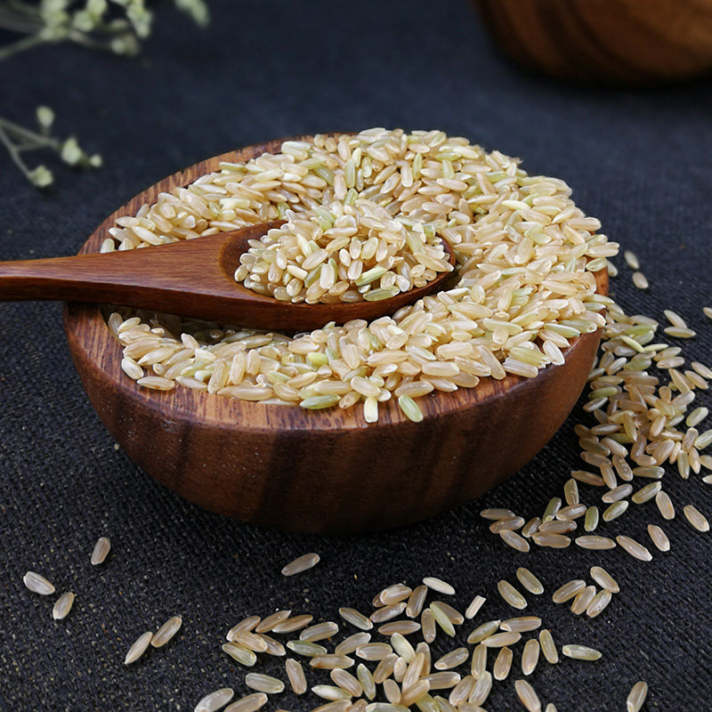 乐活氏有机糙米2.5kg 新稻花香糙米胚芽米玄米杂粮粥饭五谷杂粮