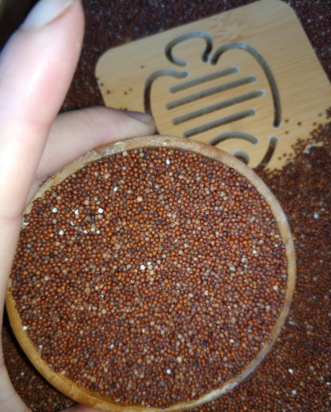 湖南新化紫鹊界土特产糁籽颗粒纯糁籽粉粗粮粟子粟子粉铲子铲子粉