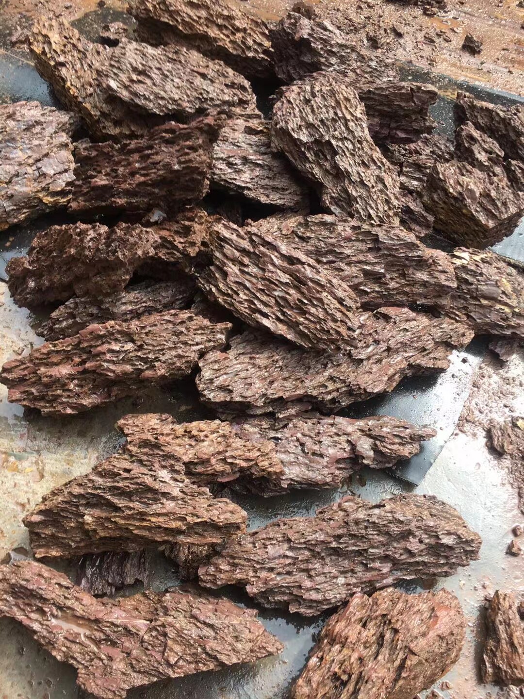 鱼缸石水陆真石成品水陆青龙造景粗细多孔松皮石造景