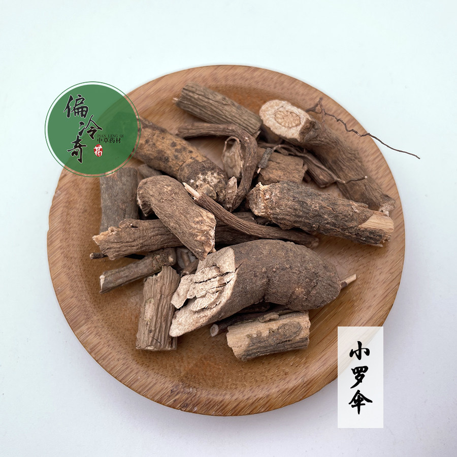 偏冷奇中草药药材小罗朱砂凉伞血丹珍珠盖伞其他药食同源食品