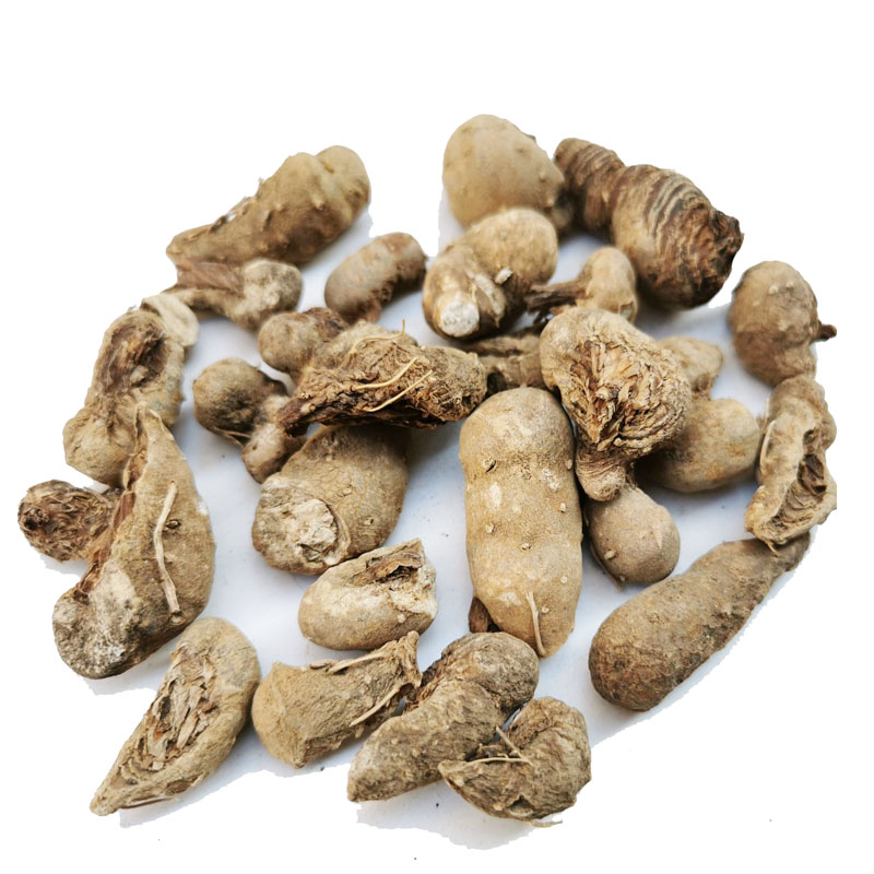 野生水田七中药材500克水三七水狗仔水虾公屈头鸡青鱼胆草新货