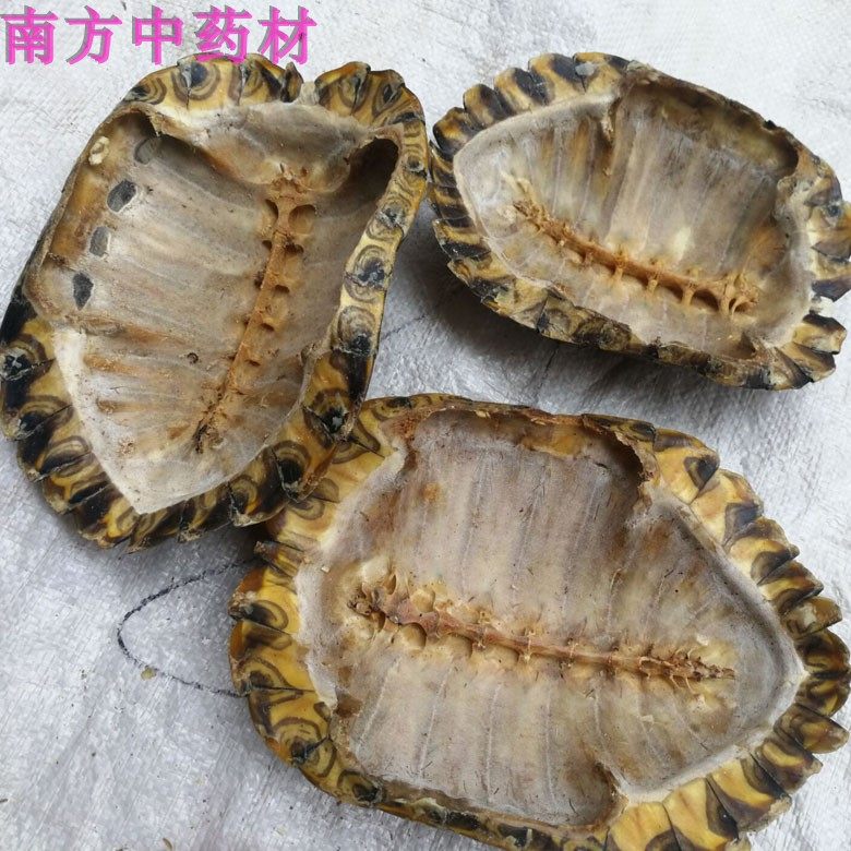 乌龟壳中药材龟板背甲 生龟甲壳 龟上甲 乌龟上壳 龟盖500克包邮